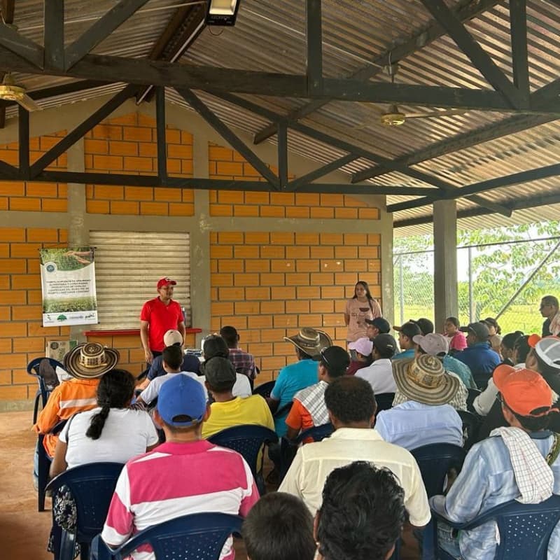 Región del San Jorge